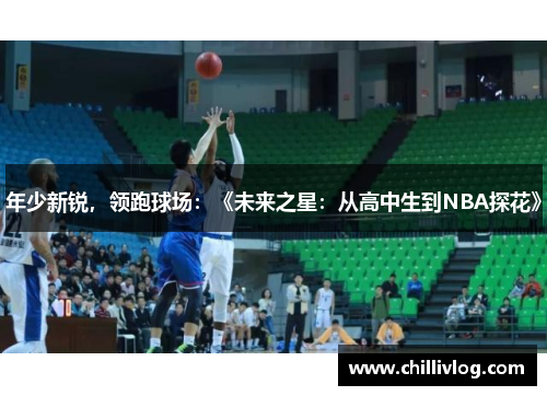 年少新锐，领跑球场：《未来之星：从高中生到NBA探花》